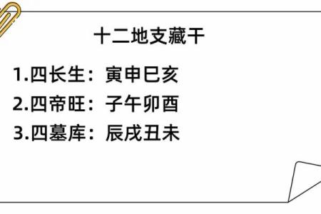 天干地支藏干表全解：破解命运密码的关键