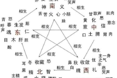 十二天干与五行的神秘关系，揭秘命运密码