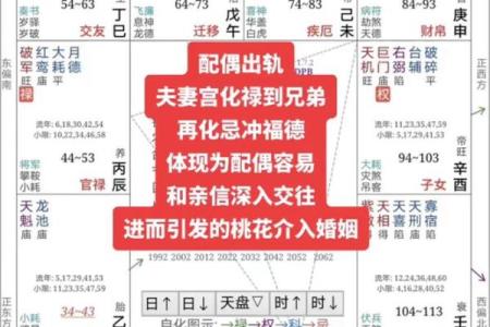 如何利用元亨利贞梅花排盘软件准确解析人生运势