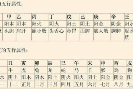 一文看懂排盘天干地支：掌握命理中的时间与空间玄机