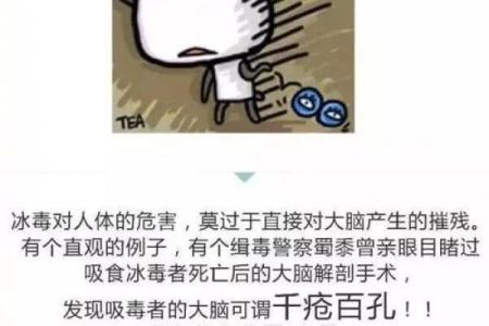 9月8日出生的人，揭秘你的饿命之谜