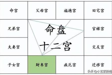 免费获取紫微斗数排盘工具，精准预测你的命运轨迹