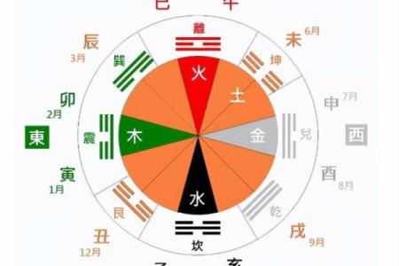 丹字五行属性揭秘