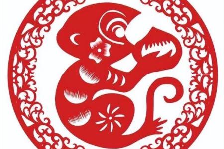 1981年属猴，揭秘你的生肖运势大爆点
