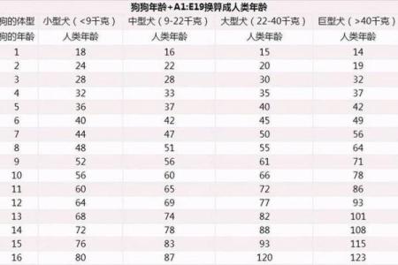 狗年命格揭秘：1970年属狗的你是什么命？