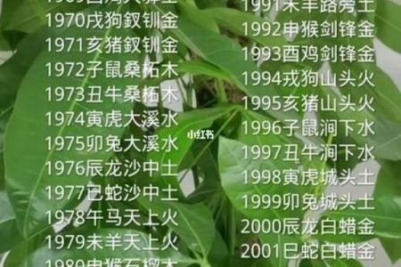 金命闪耀：揭秘不同年龄段的黄金运势