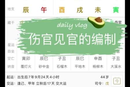 伤官星如何影响你的命运？八字中的关键解读