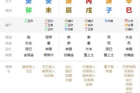 辛巳五行揭秘：让你看清自己的命运