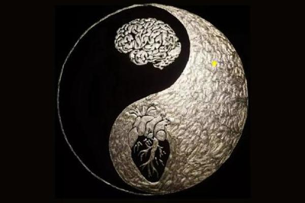 破解多五行属性的奥秘，开启你的幸运之门