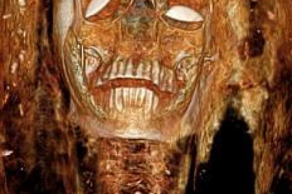 神秘道童命：揭开千年修炼之谜