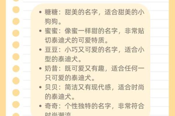 泰迪起名字大全，最受欢迎的宠物名字大揭秘