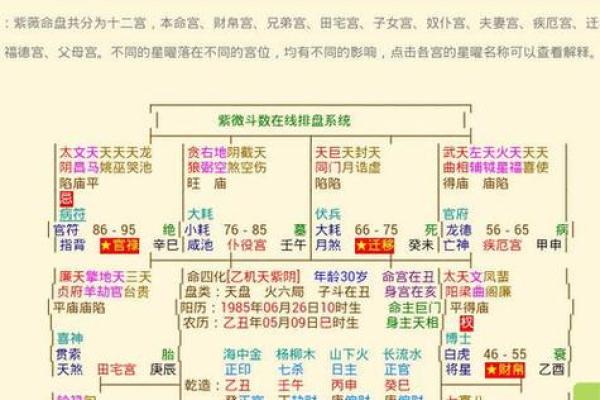 伟人紫微排盘解析：如何影响历史进程