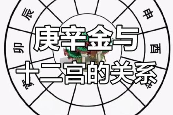 信利达八字排盘网揭秘命运密码，助你决策更明智