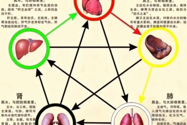 五行缺金到底是什么原因？你需要了解的深层次解读