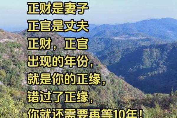 金鼠迎春，天干地支运势大揭秘