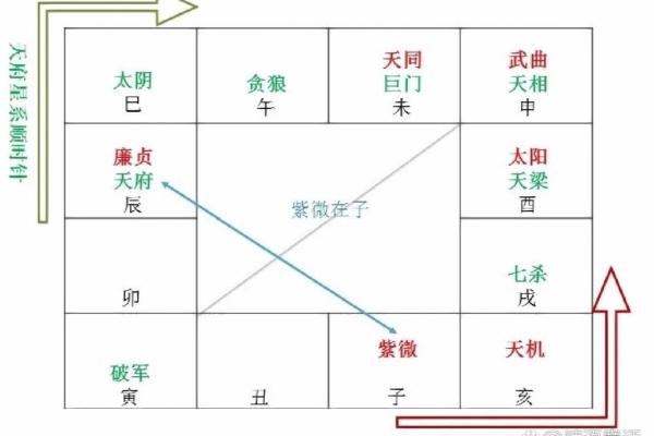 从零开始学紫薇排盘：揭示命理背后的深层秘密