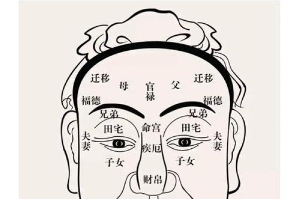 面相揭秘：清雅居士的富贵相术秘诀