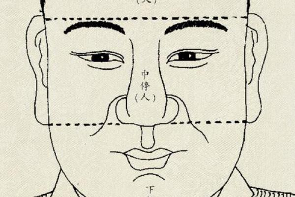 面相揭秘：清雅居士的富贵相术秘诀
