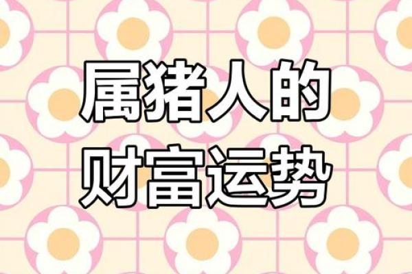 猪年运势大揭秘：揭秘属猪人的财运、事业和爱情
