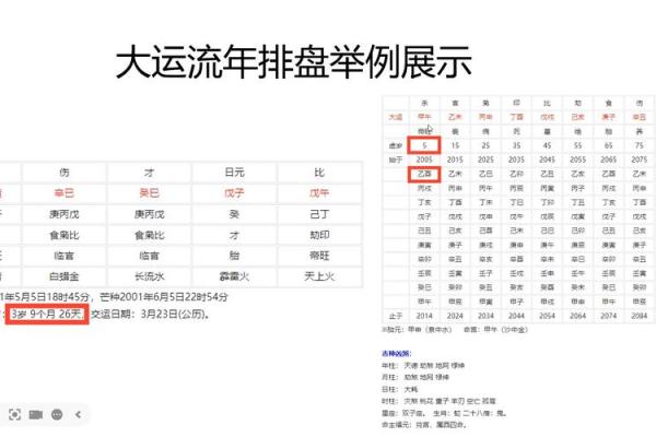 流年大运排盘图详解，如何轻松解读命运走势？