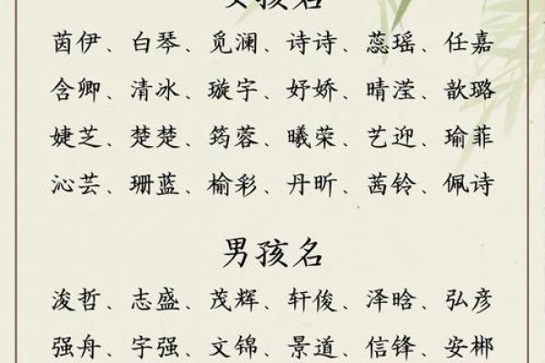 付姓宝宝名字大全：精选百种名字寓意解析