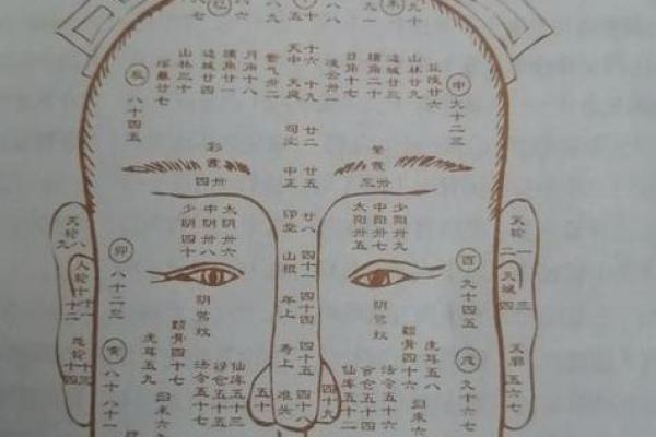 面相揭秘：头顶尖面相的惊人运势