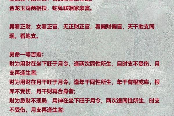 如何通过四柱八字排盘软件快速精准解读命运趋势