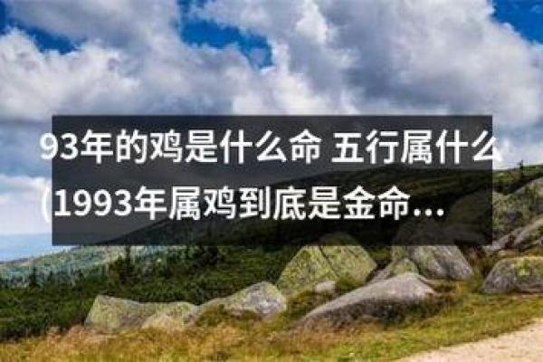 属鸡的水命揭秘