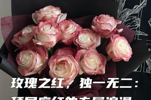 玫瑰花命名技巧，打造专属浪漫