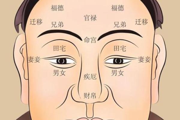 面相揭秘：头扁面相，命运多舛？