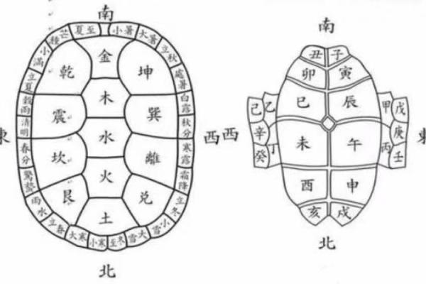 探秘五行：白色的五行属性
