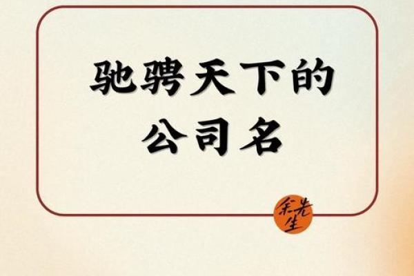 猪年如何为公司命名，名字背后的财运密码