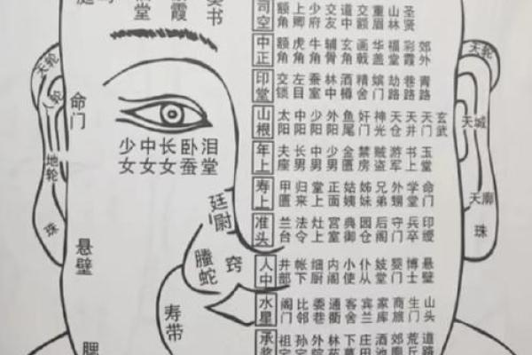 揭秘穷苦面相：看脸识命运，哪些面相注定财运不佳？