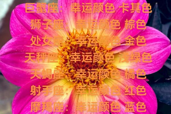 水命人专属：揭秘命中注定的幸运色彩