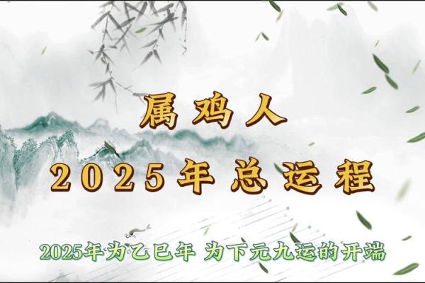 属鸡的什么是水命？揭秘命运密码，让你运势亨通