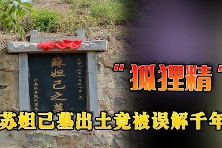 神秘道童命：揭开千年修炼之谜