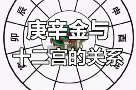 信利达八字排盘网揭秘命运密码，助你决策更明智