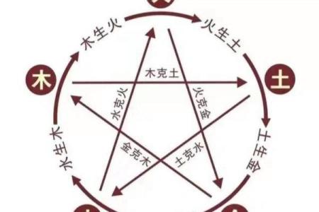 冬天出生的木命，注定不平凡的命运轨迹