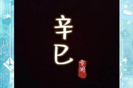 辛巳五行属性全解析，如何利用它提升运势