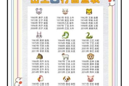 锐五行到底是什么？深入解析五行属性