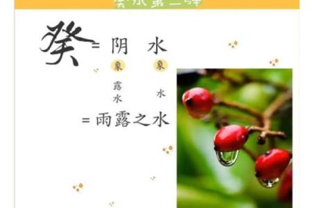乙癸辛命揭秘：揭秘命理中的神秘力量