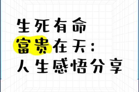 富贵命，揭秘斗气人生巅峰