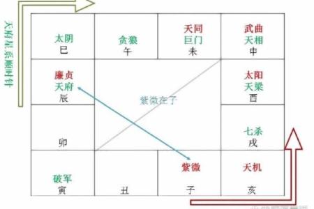 从零开始学紫薇排盘：揭示命理背后的深层秘密