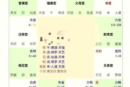 如何通过紫微流年命盘免费排盘，预测你的命运变化