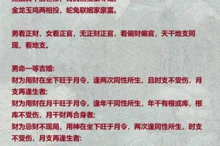 如何通过四柱八字排盘软件快速精准解读命运趋势