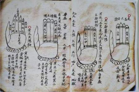 揭秘廖字五行属性，影响命运的关键因素