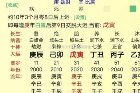 生辰八字命盘分析，掌握命运的关键