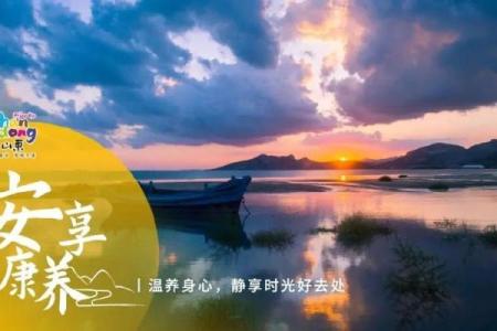 午时正盛：揭秘一天中最神秘的时光