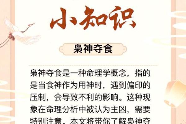 揭秘：主背命，影响命运的神秘力量