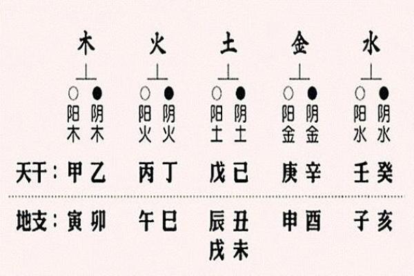 天干阴阳图与命运的奇妙关系，真相令人震惊
